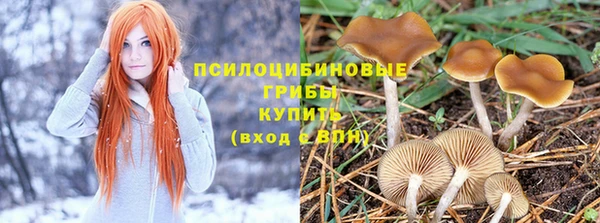 гашиш Коряжма