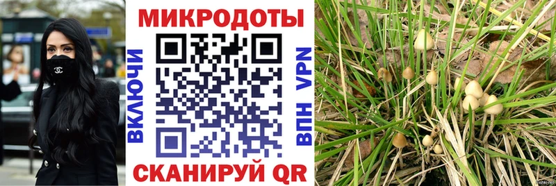 Псилоцибиновые грибы ЛСД  Купить  Черноголовка 